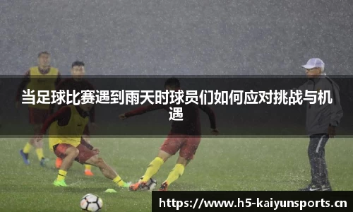开云体育官网